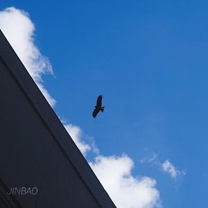 俄罗斯十八岁性爰A级片
